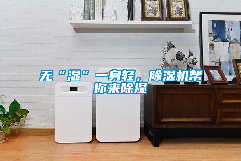 無“濕”一身輕，除濕機幫你來除濕