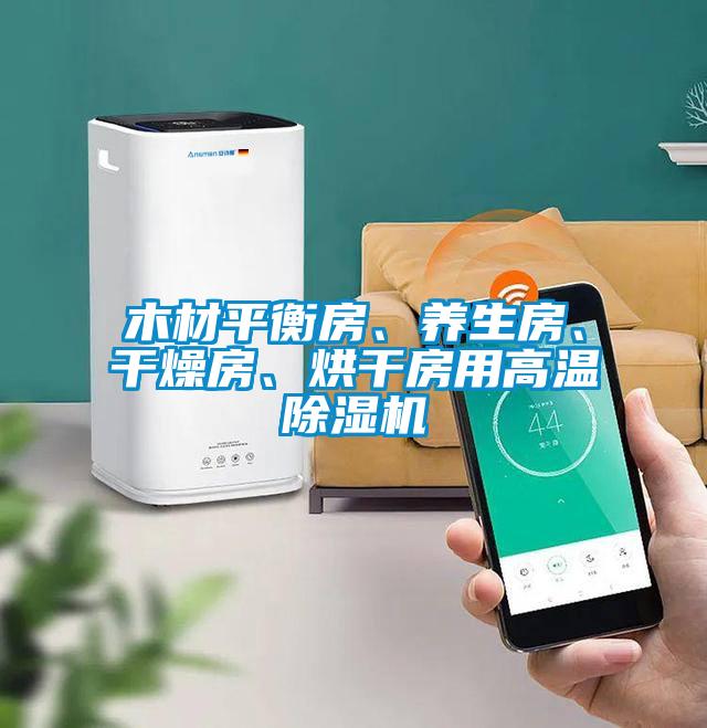 木材平衡房、養(yǎng)生房、干燥房、烘干房用高溫除濕機(jī)