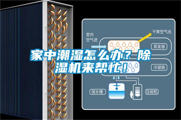 家中潮濕怎么辦？除濕機(jī)來幫忙！