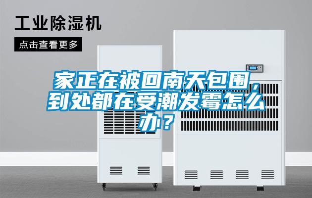 家正在被回南天包圍，到處都在受潮發(fā)霉怎么辦？