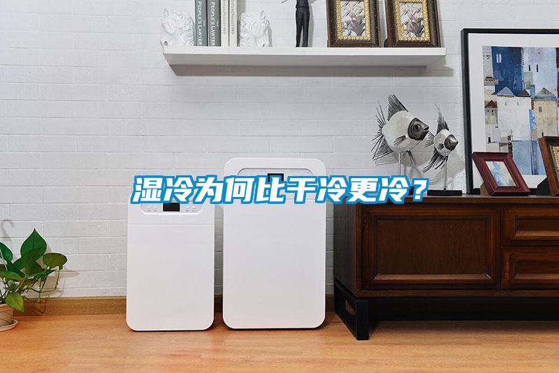濕冷為何比干冷更冷？