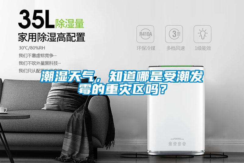 潮濕天氣，知道哪是受潮發(fā)霉的重災區(qū)嗎？
