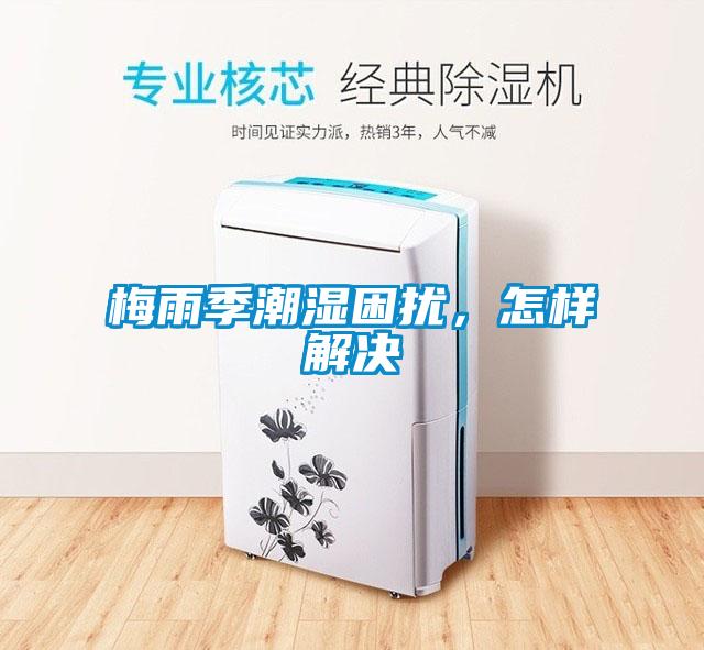 梅雨季潮濕困擾，怎樣解決