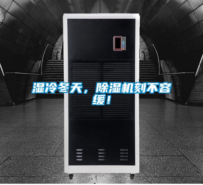 濕冷冬天，除濕機刻不容緩！