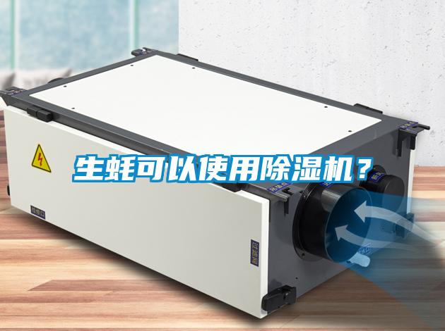 生蠔可以使用除濕機？