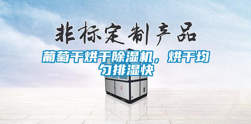葡萄干烘干除濕機(jī)，烘干均勻排濕快
