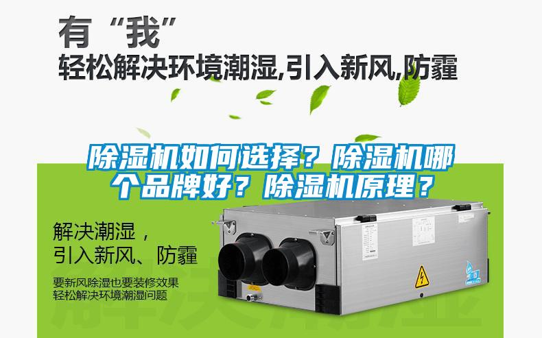 除濕機(jī)如何選擇？除濕機(jī)哪個(gè)品牌好？除濕機(jī)原理？