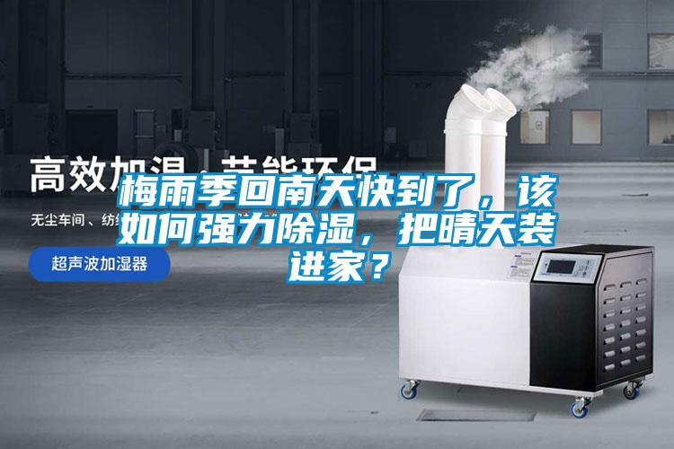 梅雨季回南天快到了，該如何強力除濕，把晴天裝進家？