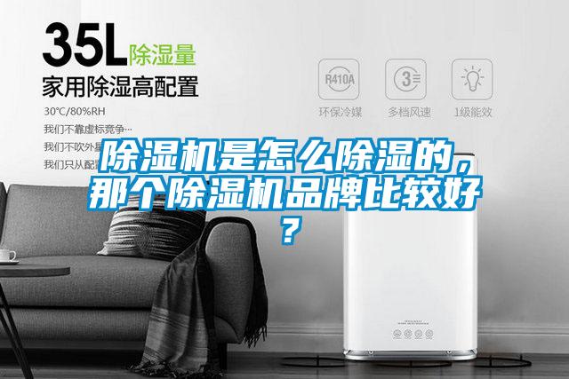 除濕機是怎么除濕的，那個除濕機品牌比較好？