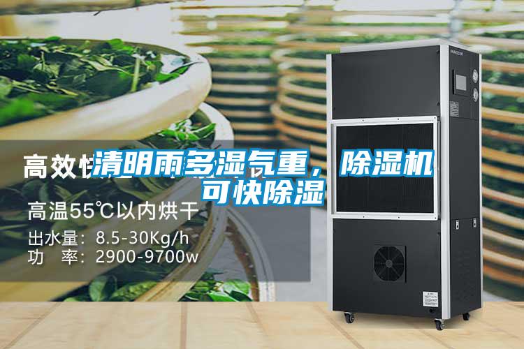 清明雨多濕氣重，除濕機可快除濕