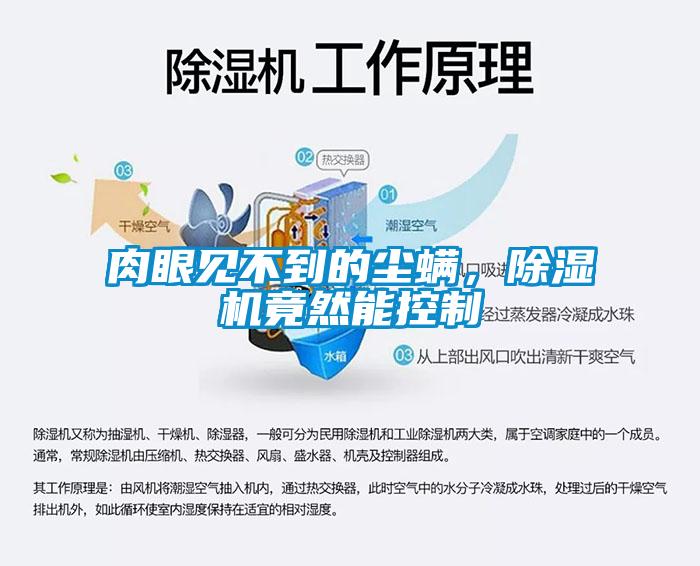 肉眼見(jiàn)不到的塵螨，除濕機(jī)竟然能控制