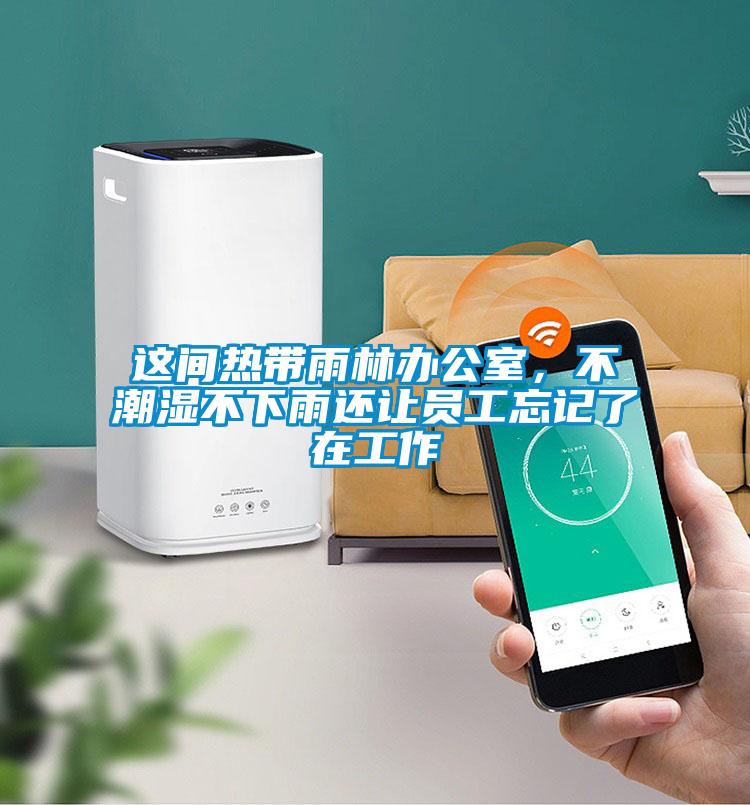 這間熱帶雨林辦公室，不潮濕不下雨還讓員工忘記了在工作