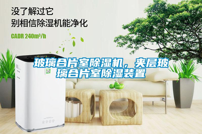 玻璃合片室除濕機，夾層玻璃合片室除濕裝置