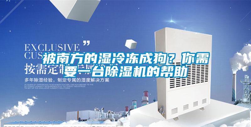 被南方的濕冷凍成狗？你需要一臺除濕機(jī)的幫助