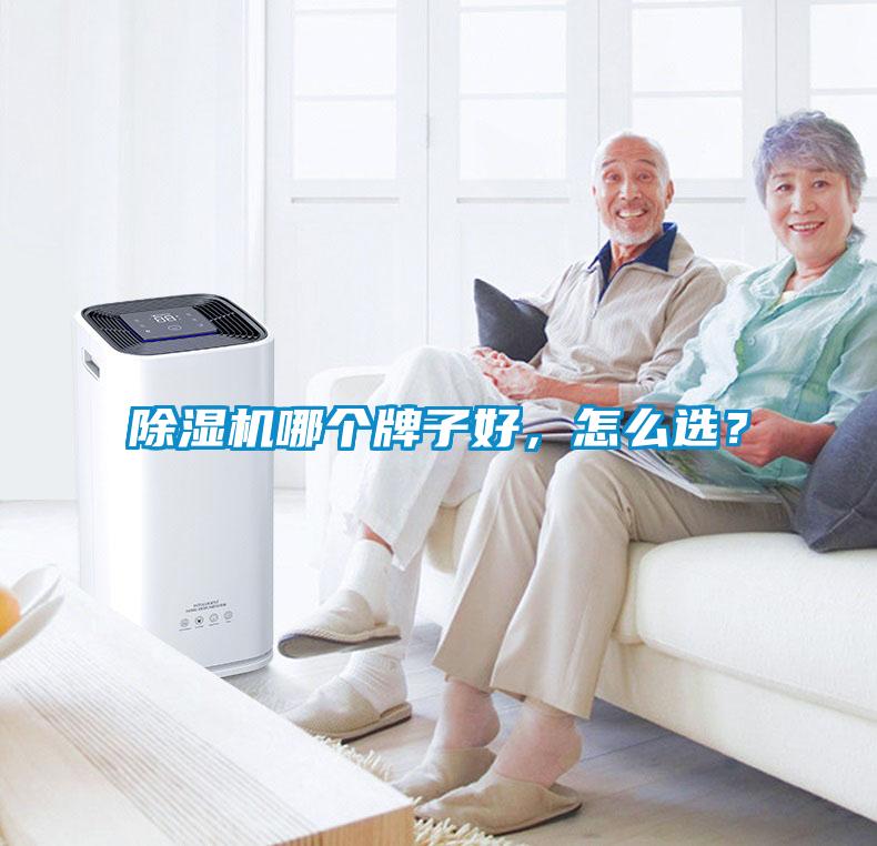 除濕機(jī)哪個(gè)牌子好，怎么選？