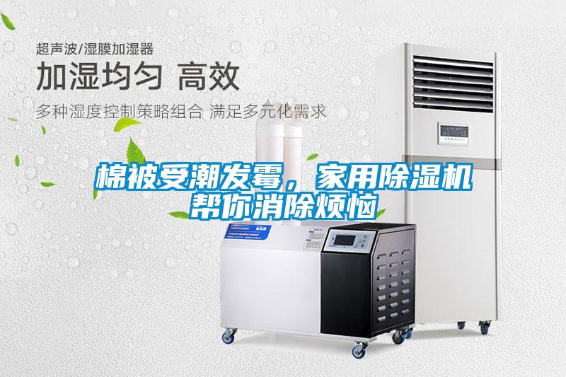 棉被受潮發(fā)霉，家用除濕機幫你消除煩惱