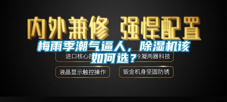 梅雨季潮氣逼人，除濕機(jī)該如何選？
