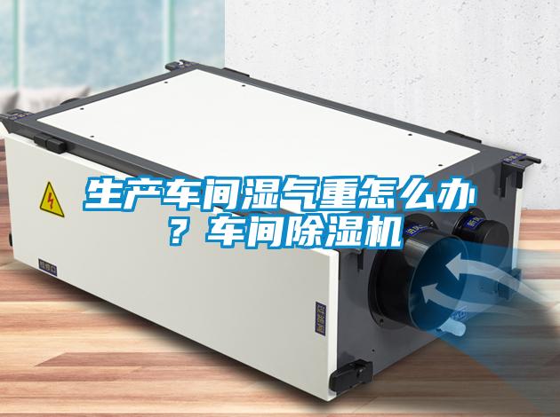 生產(chǎn)車(chē)間濕氣重怎么辦？車(chē)間除濕機(jī)