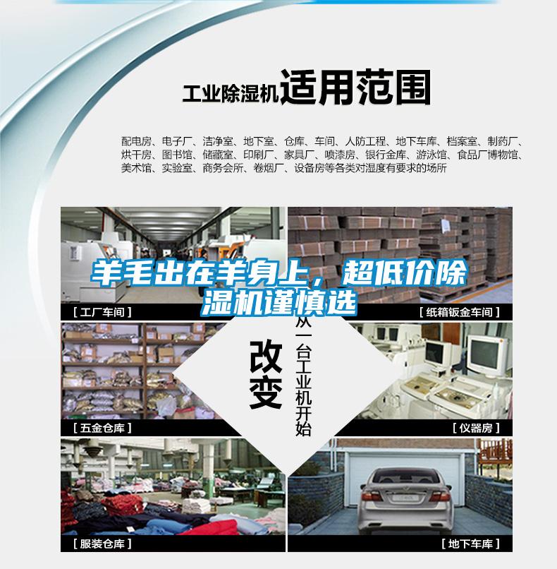 羊毛出在羊身上，超低價除濕機謹慎選