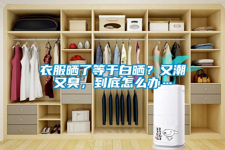 衣服曬了等于白曬？又潮又臭，到底怎么辦…