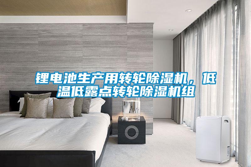 鋰電池生產(chǎn)用轉(zhuǎn)輪除濕機，低溫低露點轉(zhuǎn)輪除濕機組
