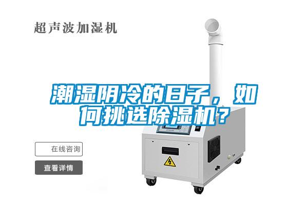 潮濕陰冷的日子，如何挑選除濕機？