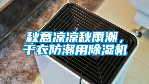 秋意涼涼秋雨潮，干衣防潮用除濕機