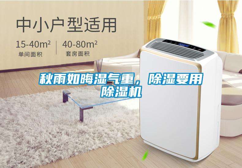 秋雨如晦濕氣重，除濕要用除濕機