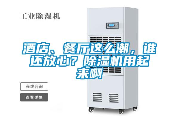 酒店、餐廳這么潮，誰還放心？除濕機(jī)用起來啊