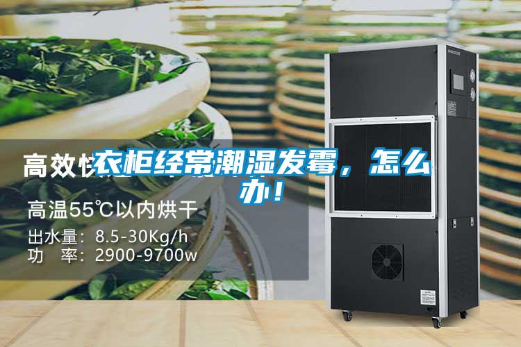 衣柜經(jīng)常潮濕發(fā)霉，怎么辦！