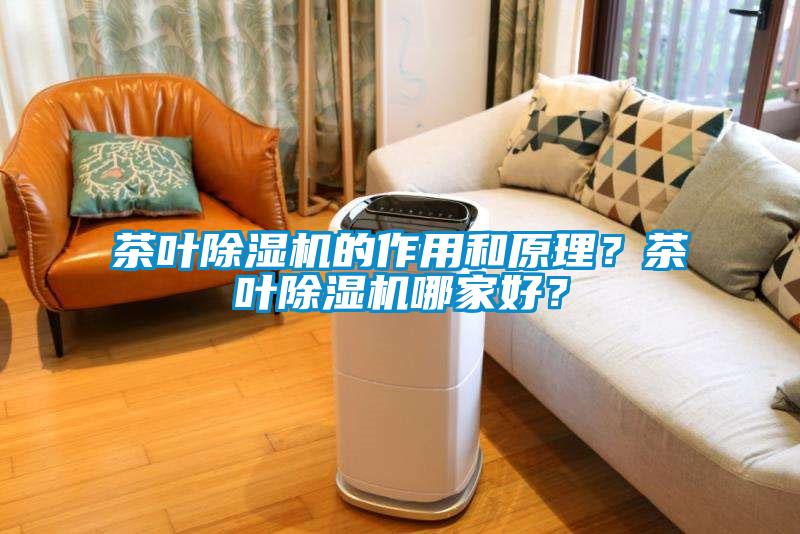 茶葉除濕機(jī)的作用和原理？茶葉除濕機(jī)哪家好？