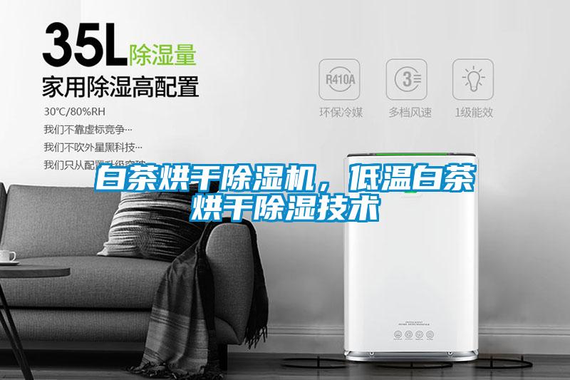 白茶烘干除濕機，低溫白茶烘干除濕技術