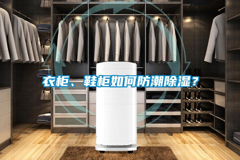 衣柜、鞋柜如何防潮除濕？