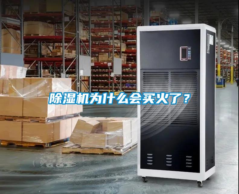 除濕機為什么會買火了？