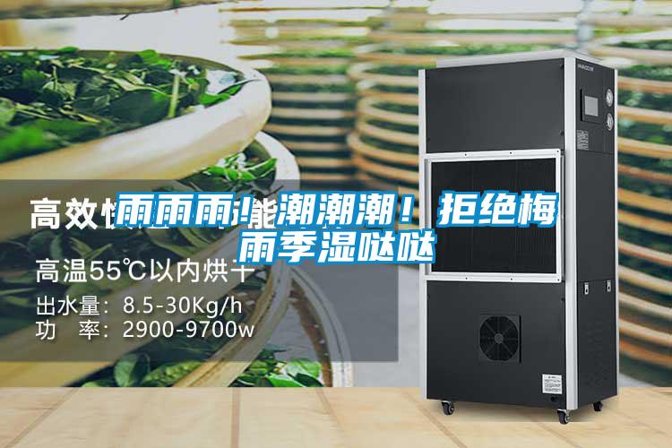 雨雨雨！潮潮潮！拒絕梅雨季濕噠噠