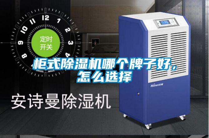 柜式除濕機(jī)哪個(gè)牌子好，怎么選擇
