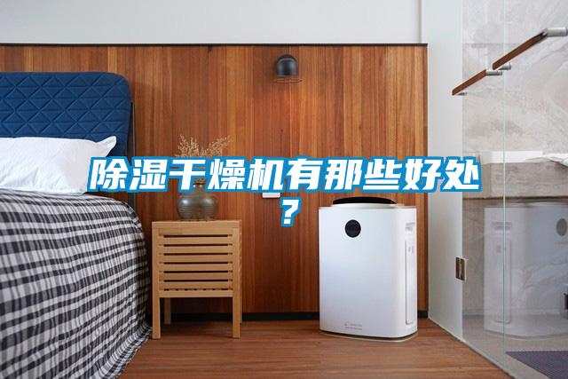 除濕干燥機(jī)有那些好處？