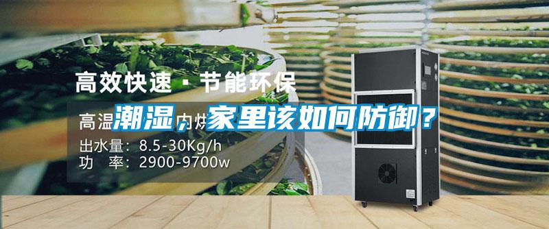 潮濕，家里該如何防御？