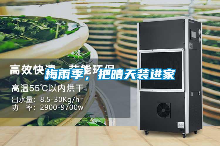 梅雨季，把晴天裝進(jìn)家