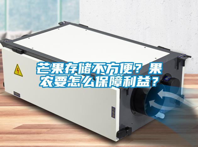 芒果存儲不方便？果農(nóng)要怎么保障利益？
