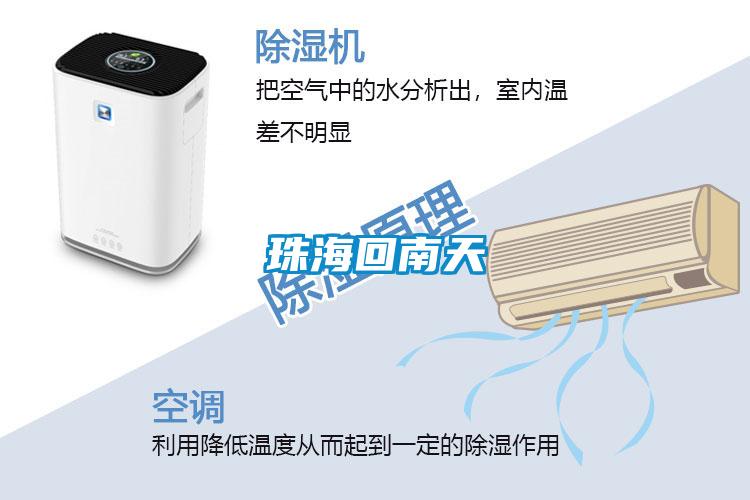 珠?；啬咸?></div>
								<div   id=
