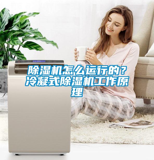 除濕機(jī)怎么運(yùn)行的？冷凝式除濕機(jī)工作原理