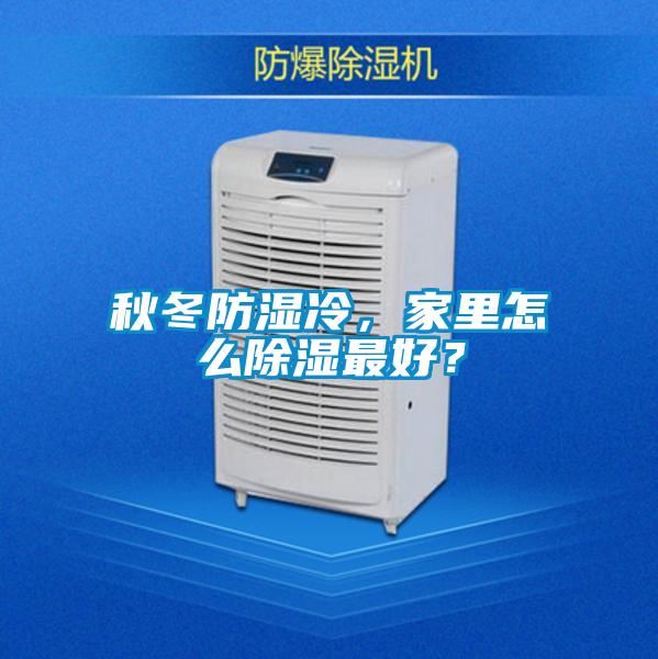 秋冬防濕冷，家里怎么除濕最好？