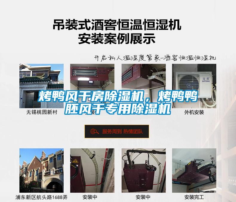 烤鴨風(fēng)干房除濕機(jī)，烤鴨鴨胚風(fēng)干專用除濕機(jī)