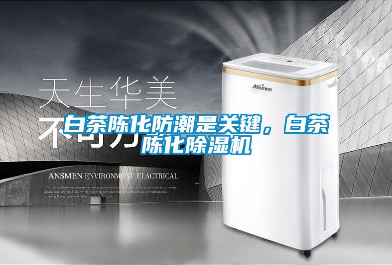 白茶陳化防潮是關鍵，白茶陳化除濕機