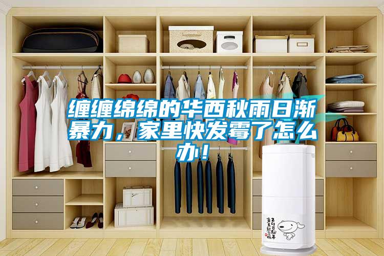 纏纏綿綿的華西秋雨日漸暴力，家里快發(fā)霉了怎么辦！