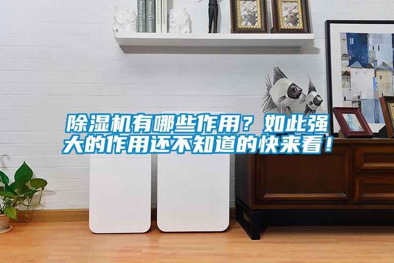 除濕機(jī)有哪些作用？如此強(qiáng)大的作用還不知道的快來看！