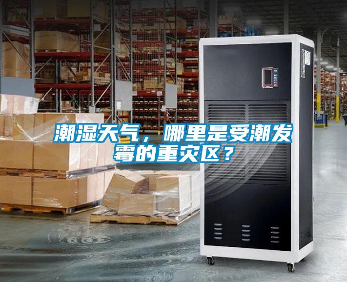 潮濕天氣，哪里是受潮發(fā)霉的重災(zāi)區(qū)？