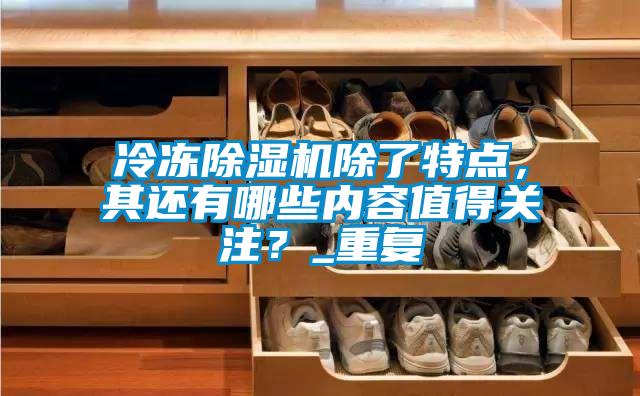 冷凍除濕機除了特點，其還有哪些內(nèi)容值得關(guān)注？_重復(fù)