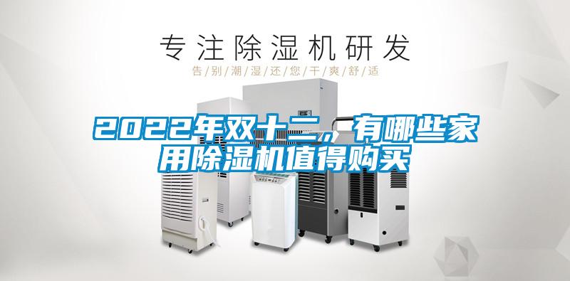 2022年雙十二，有哪些家用除濕機(jī)值得購(gòu)買(mǎi)